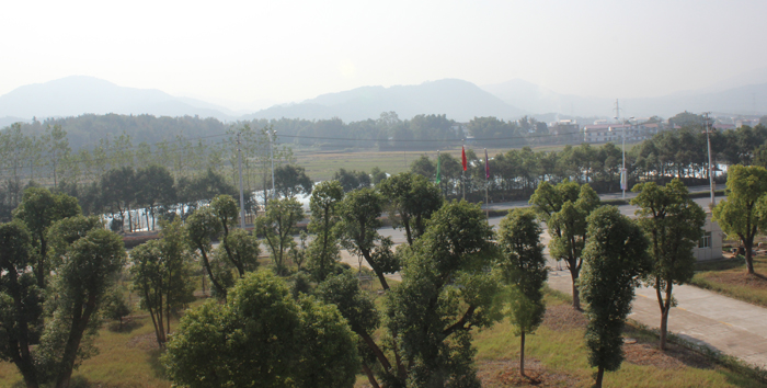 廠區(qū)環(huán)境