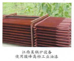 江西某鍋爐設(shè)備